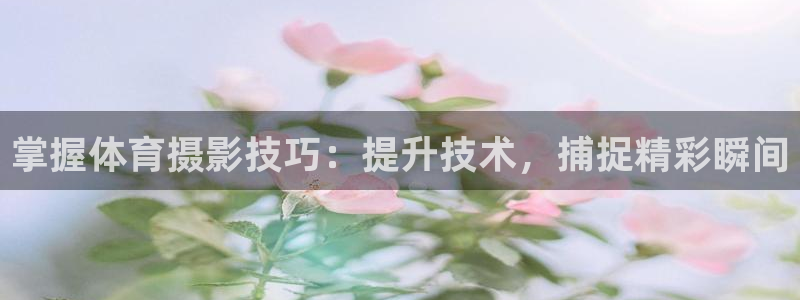 尊龙 5：掌握体育摄影技巧：提升技术，捕捉精彩瞬间