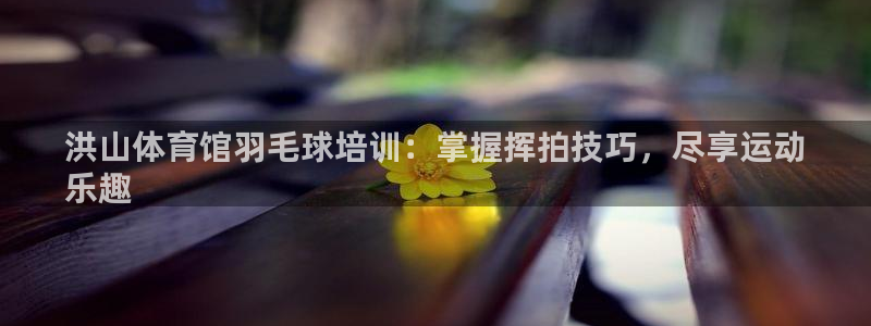 尊龙t400和尊龙t300区别：洪山体育馆羽毛球培训