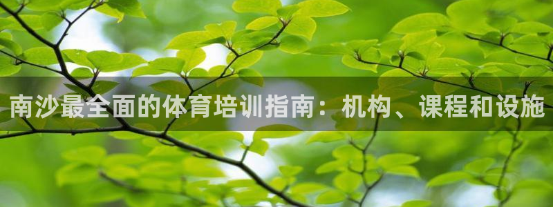 尊龙凯时人生就是搏包装优势：南沙最全面的体育培训指南