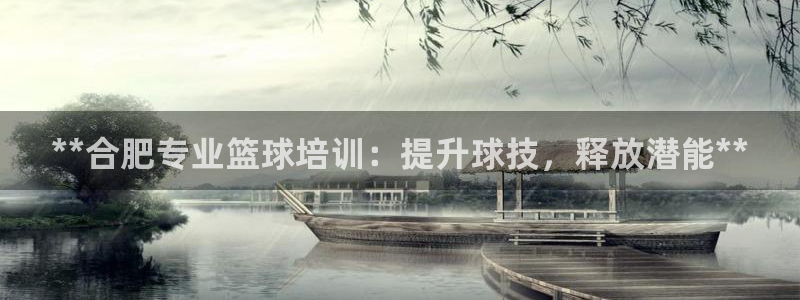 尊龙凯时人生就是博·(中国)官网最新：**合肥专业篮