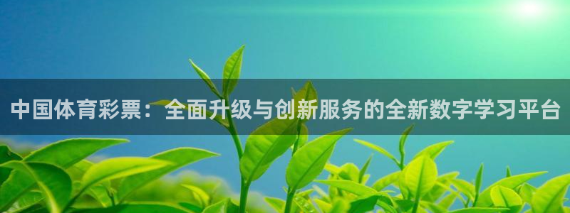 尊龙游戏官网