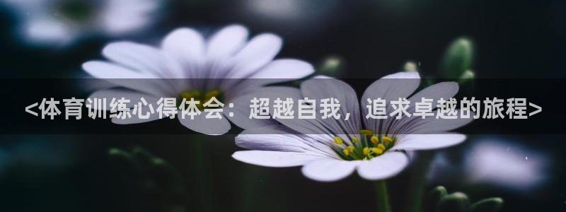 尊龙游戏官网