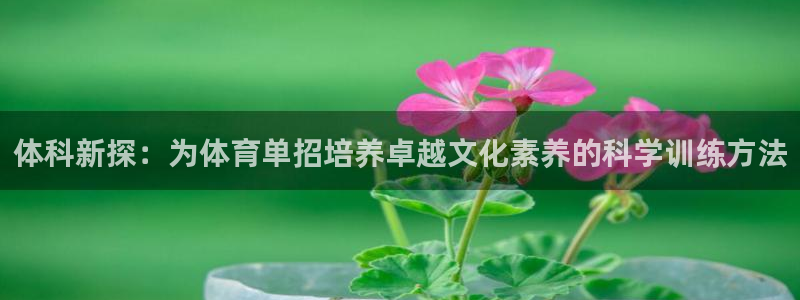 尊龙凯时不朽情缘