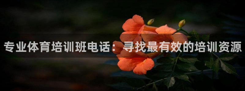 ag尊龙凯时俱乐部