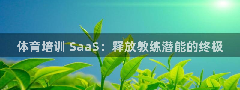 尊龙凯时登陆网址：体育培训 SaaS：释放教练潜能的