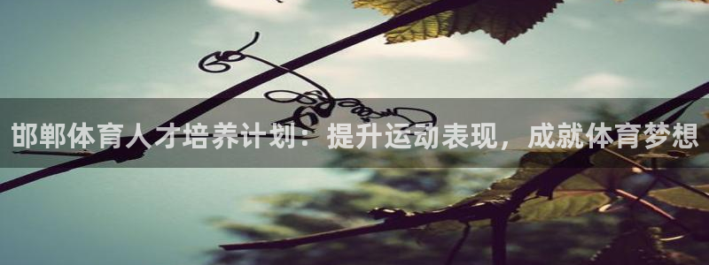 尊龙旗舰店：邯郸体育人才培养计划：提升运动表现，成就体育梦想