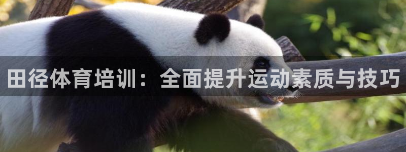 ZL尊龙凯时集团