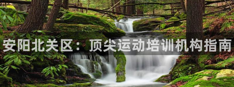 尊龙得过奥斯卡吗：安阳北关区：顶尖运动培训机构指南