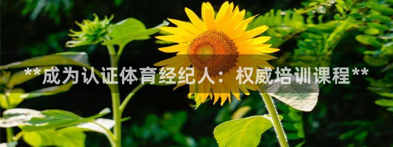 尊龙登录：**成为认证体育经纪人：权威培训课程**