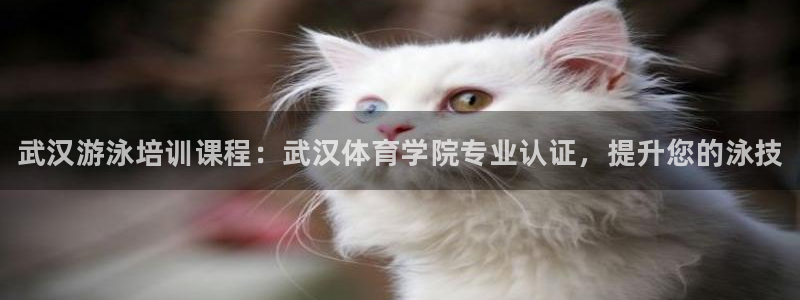 凯时登录平台去AG发财网：武汉游泳培训课程：武汉体育学院专业